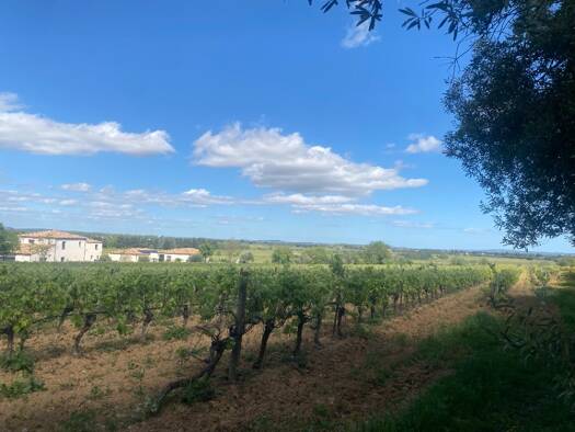 Terrain constructible à vendre 75 500 € 475 m² de terrain Ginestas 11120