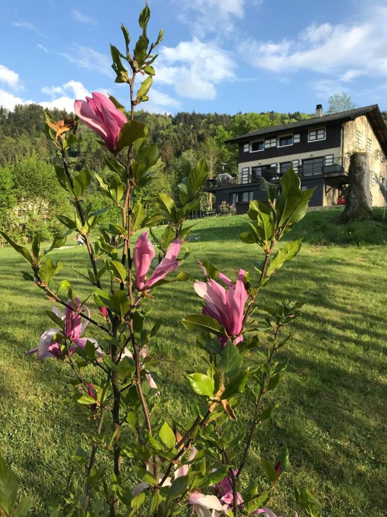 Maison à vendre 895 000 € 6 pièces 4 chambres 230 m² 4 570 m² de terrain Bons en Chablais 74890