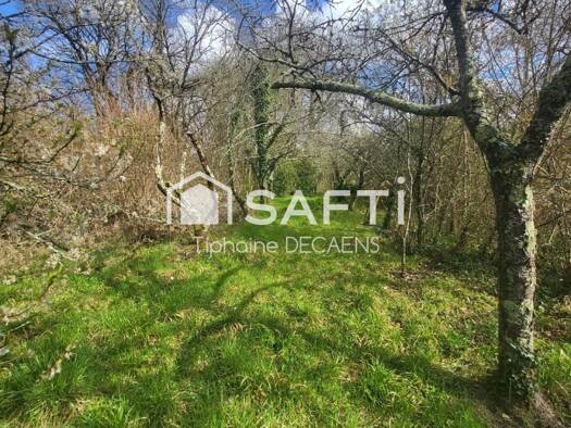 Terrain constructible à vendre 56 000 € 1 800 m² de terrain Neuil 37190