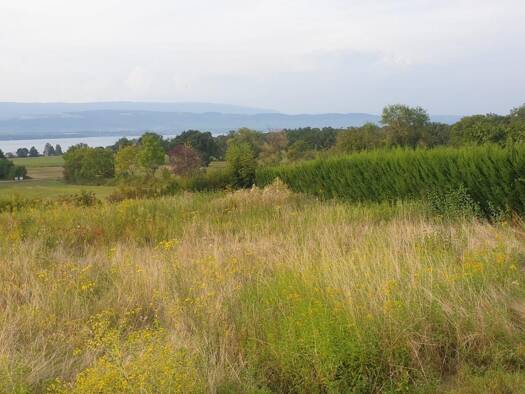 Maison à vendre 700 000 € 4 pièces 3 chambres 114 m² Messery 74140