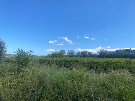 Terrain constructible à vendre 75 200 € 460 m² de terrain Ginestas 11120