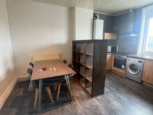 Appartement à louer 550 € 3 pièces 1 chambre 56 m² Centre Ville Est Le Chambon-Feugerolles 42500