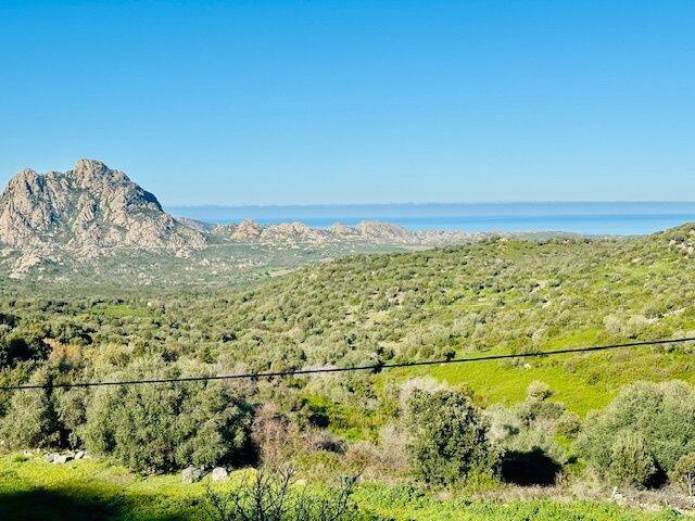 Maison 7 pièces 239 m² · à Saint-Florent · 239 m² · 999 000 €