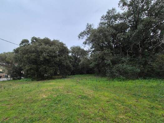 Terrain constructible à vendre - neuf 400 000 € 1 152 m² de terrain Lumio 20260