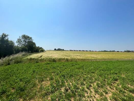 Terrain constructible à vendre 69 000 € 536 m² de terrain Wailly 62217