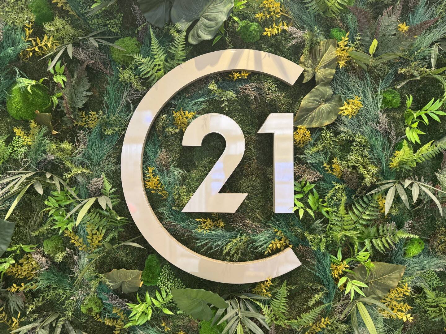 DAUPHINE LACASSAGNE IMMOBILIER