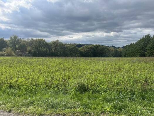 Terrain constructible à vendre 42 000 € 5 564 m² de terrain Le Vigan 46300