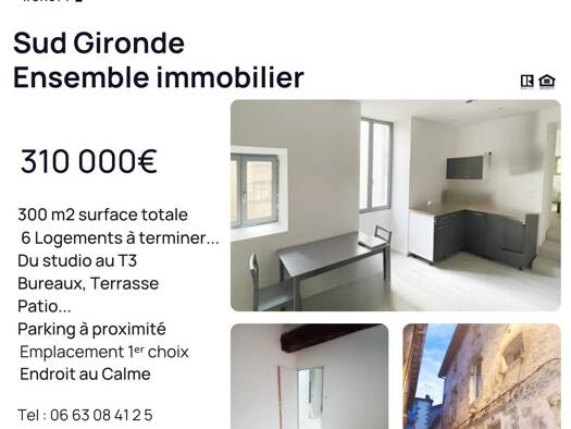 Immeuble à vendre 310 000 € 300 m² Bazas 33430