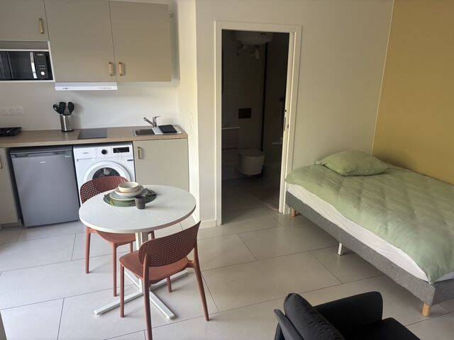 Appartement 1 pièce 20 m² · à Saint-Étienne · 20 m² · 480 €/mois
