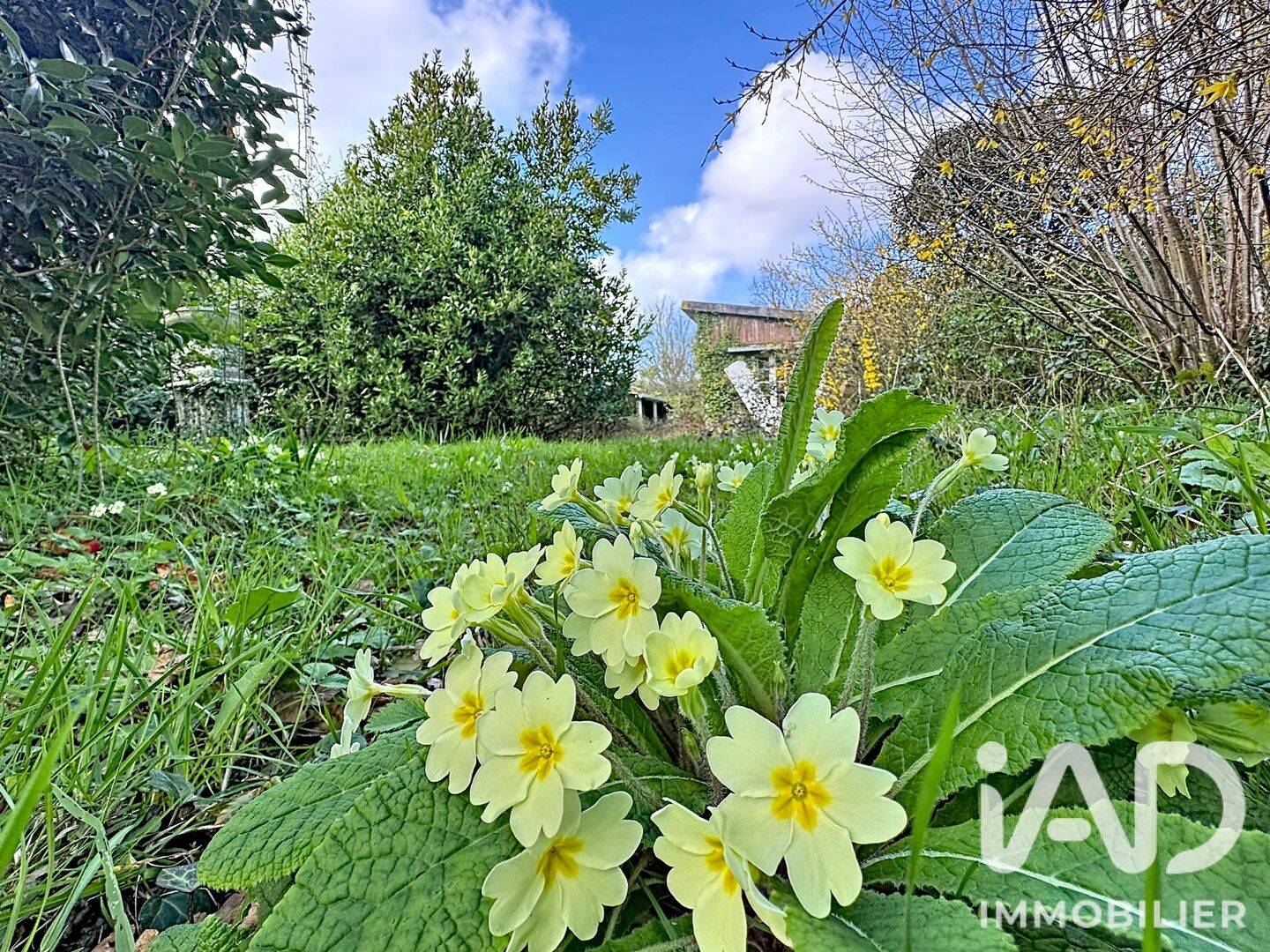 Maison 1 pièce 65 m² · à Combrit · 65 m² · 139 700 €