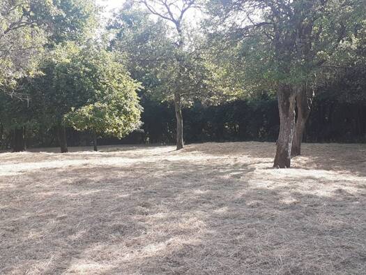 Terrain constructible à vendre 66 000 € 979 m² de terrain Tenteling 57980