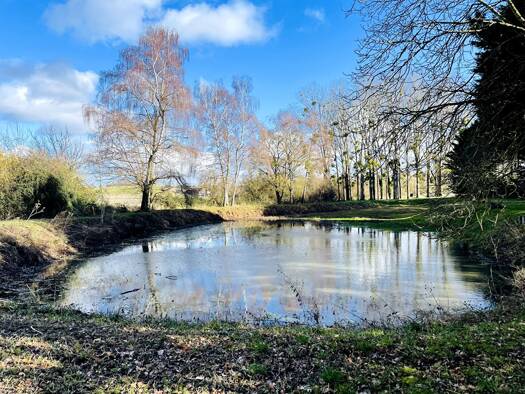 Propriété de loisirs à vendre 23 000 € 7 650 m² de terrain Vou 37240