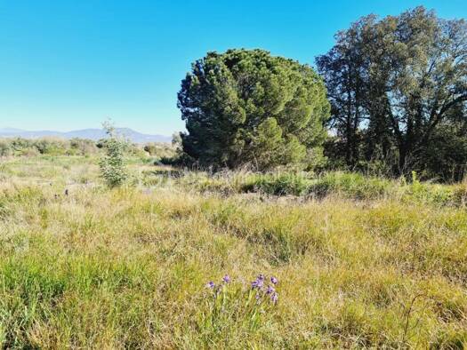 Terrain constructible viabilisé à vendre 215 000 € 1 383 m² de terrain Castelnou 66300