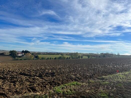 Terrain constructible viabilisé à vendre 69 000 € 554 m² de terrain Villefranche-de-Lauragais 31290