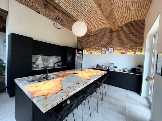 Maison à vendre 799 000 € 6 chambres 560 m² 1 235 m² de terrain Saint-Amand-les-Eaux 59230