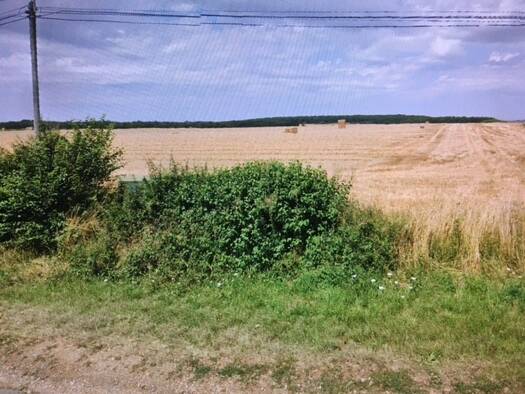 Terrain constructible à vendre 23 900 € 1 042 m² de terrain Brécy 18220