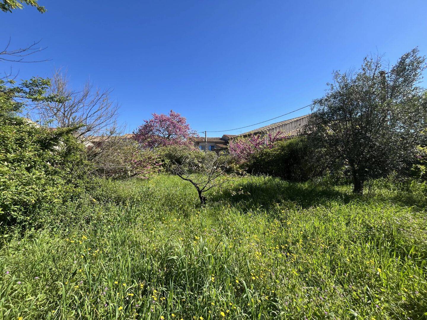 Terrain de 257 m² à Trausse - photo 2