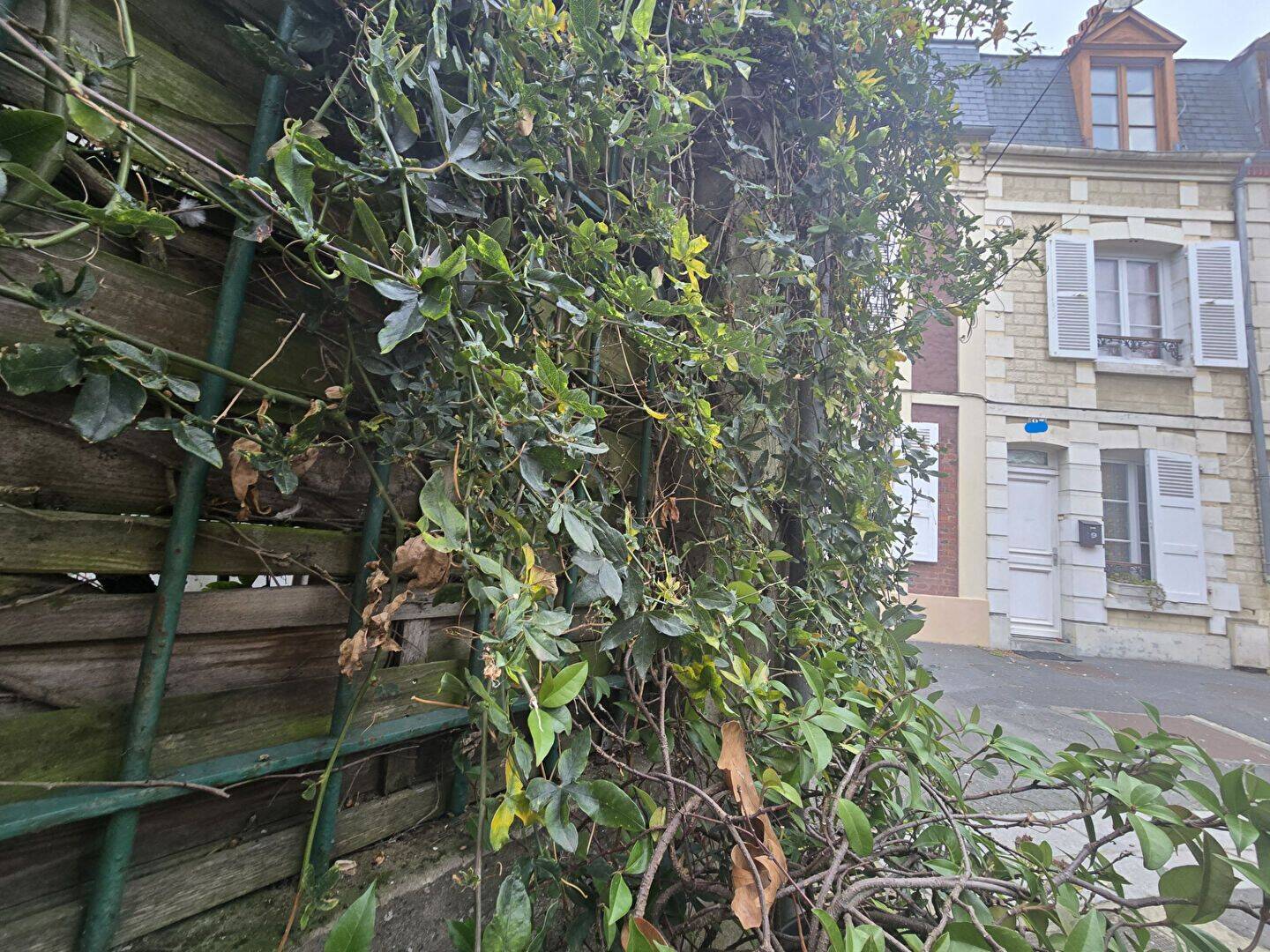 Maison 3 pièces 53 m² · à Trouville-sur-Mer · 53 m² · 249 500 €