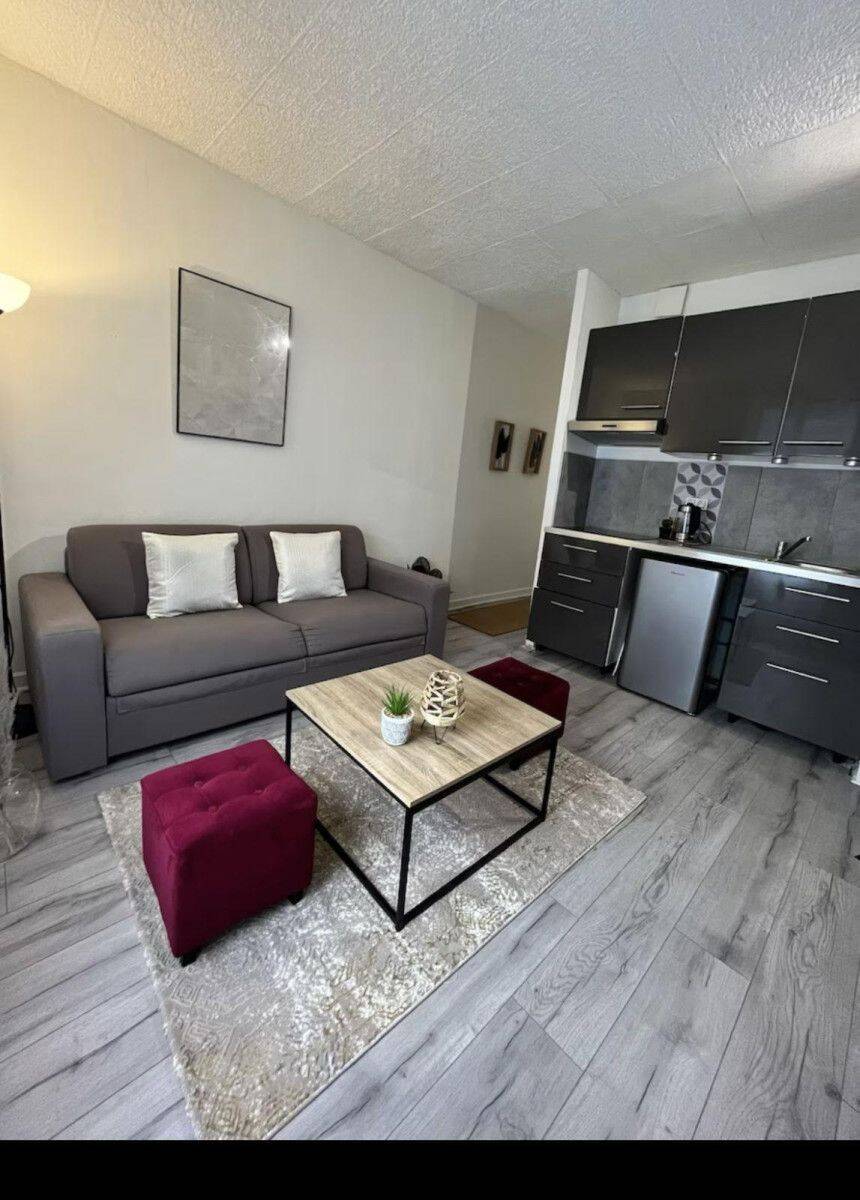 Appartement 1 pièce 60 m² · à Saint-Étienne · 60 m² · 590 €