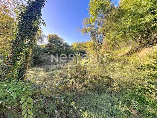 Terrain constructible à vendre 10 000 € 25 962 m² de terrain Naves 19460