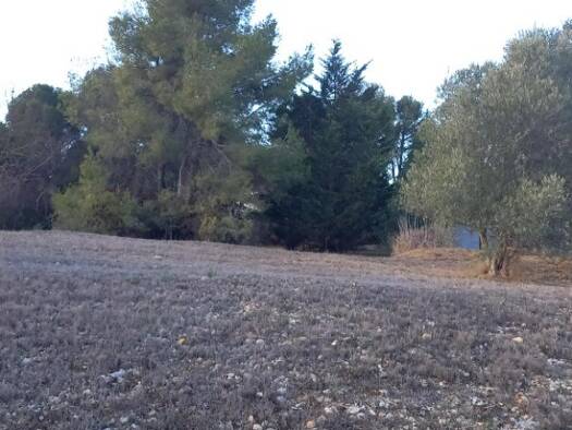 Terrain constructible viabilisé à vendre 126 500 € 722 m² de terrain Moussan 11120