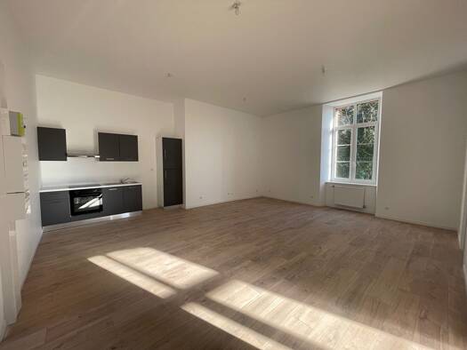 Appartement à louer 790 € 4 pièces 3 chambres 83 m² RDC Montmirail 51210