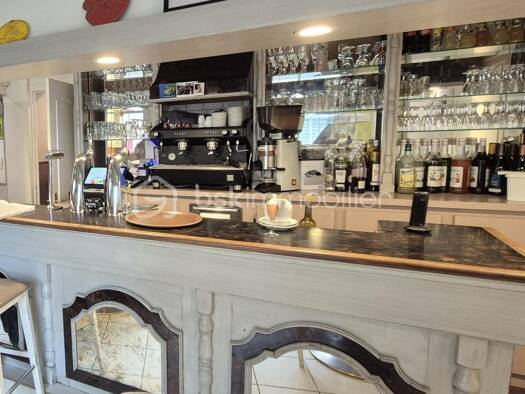 Activités diverses à vendre Fonds de commerce 408 000 € Neau 53150