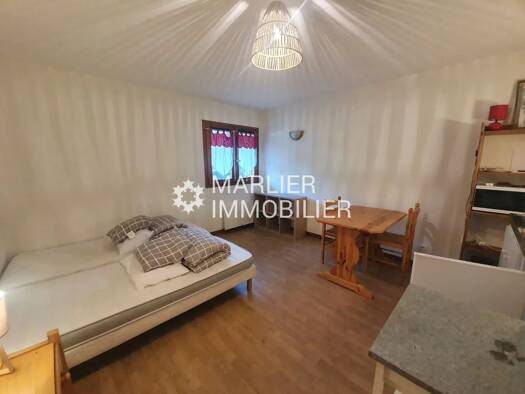 Appartement à louer 580 € 1 pièce 20,7 m² RDC/3 Praz-sur-Arly 74120