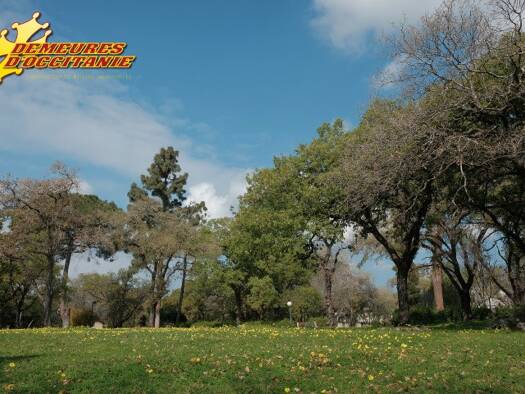 Terrain constructible à vendre 55 000 € 950 m² de terrain Saint-Étienne-de-Tulmont 82410