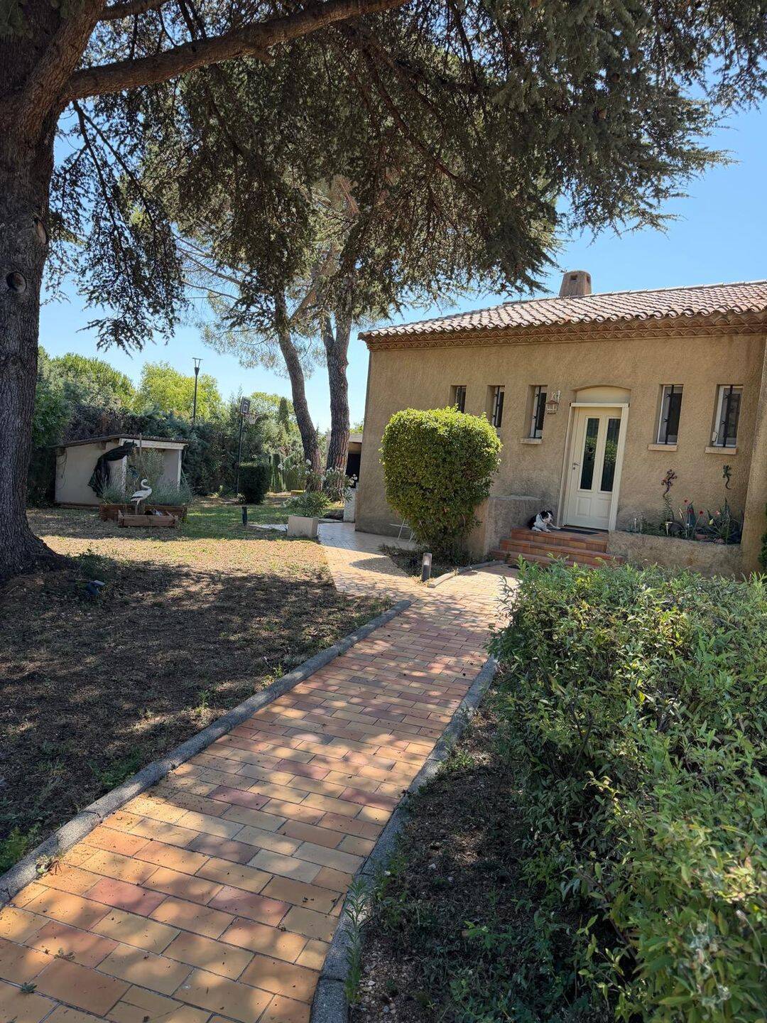 Maison 8 pièces 168 m² · à Saint-André-de-Sangonis · 168 m² · 496 850 €