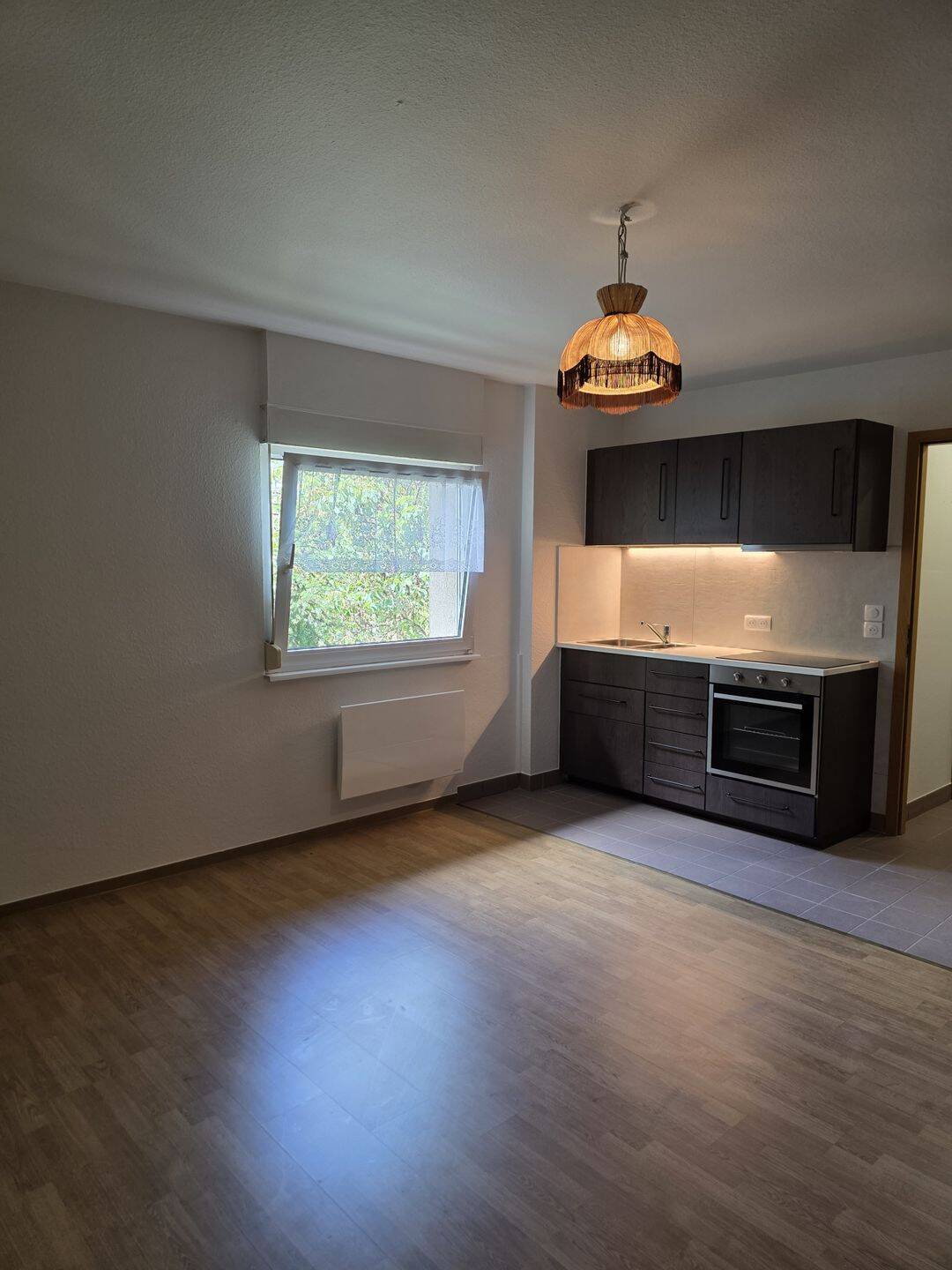 Appartement 1 pièce 29 m² · à Wissembourg · 29,3 m² · 425 €