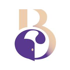 BELLE MAISON IMMOBILIER logo