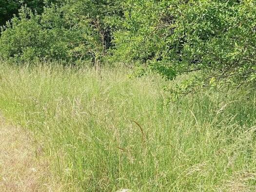 Terrain constructible à vendre 50 000 € 2 000 m² de terrain Bucy-le-Long 02880