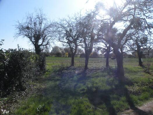 Terrain à vendre 26 500 € 1 152 m² de terrain Moléans 28200