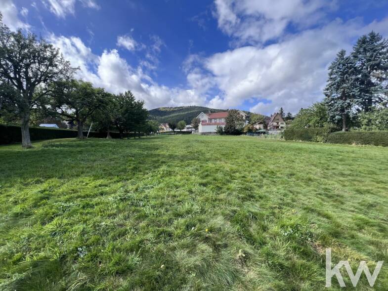 Terrain constructible à vendre 261 600 € 5 962 m² de terrain Wangenbourg Engenthal 67710