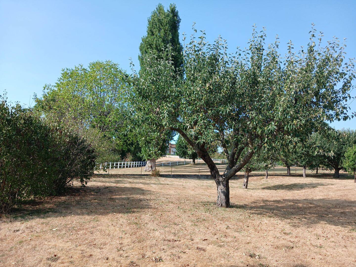 Maison 4 pièces 107 m² · à Marcigny · 107 m² · 138 000 €