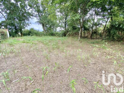 Terrain constructible à vendre 260 000 € 1 201 m² de terrain Linxe 40260