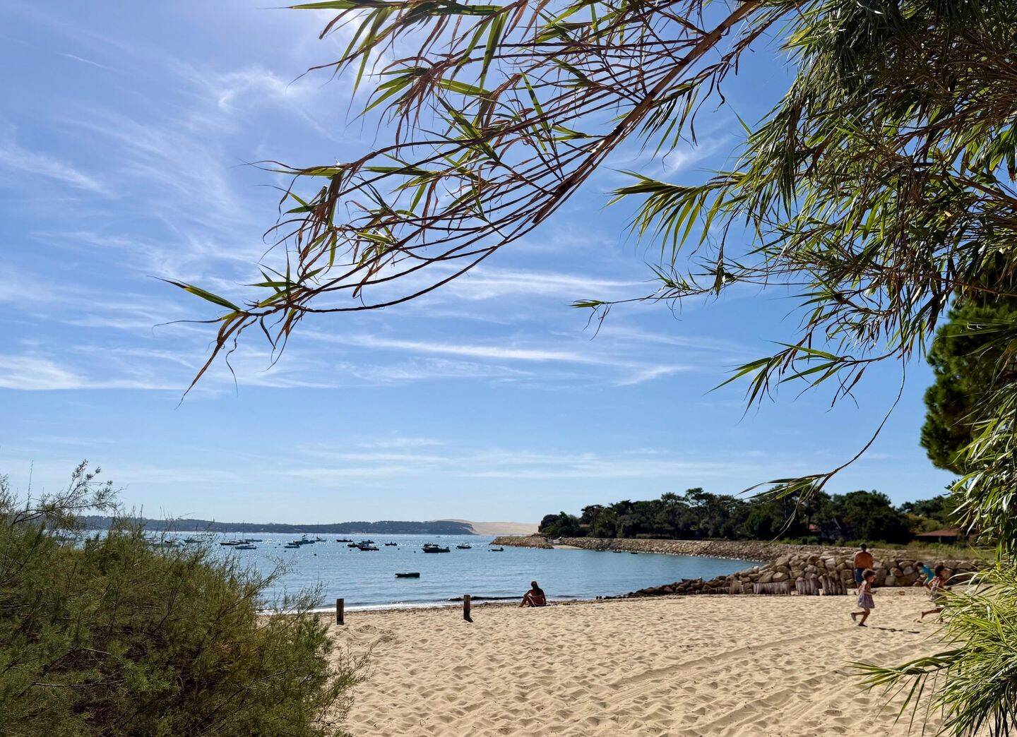 Maison 5 pièces 110 m² · à Lège-Cap-Ferret · 110 m² · 1 560 000 €