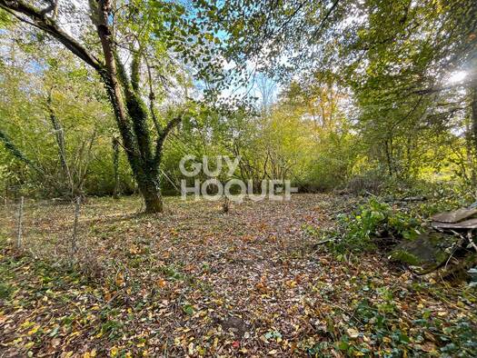 Terrain à vendre 10 100 € 300 m² de terrain Chaumes-en-Brie 77390