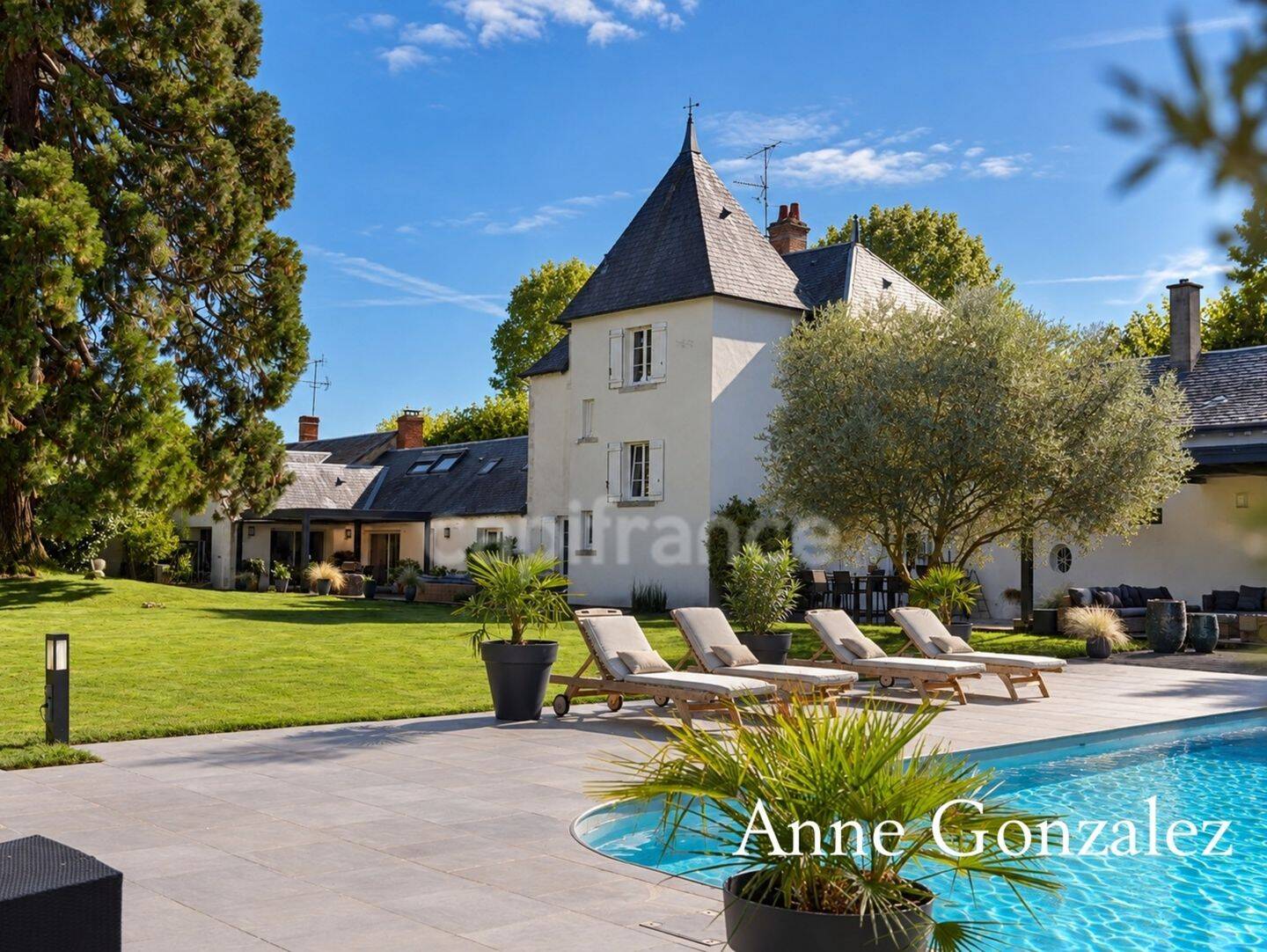 Maison 12 pièces 395 m² · à Saint-Jean-le-Blanc · 395 m² · 1 239 000 €