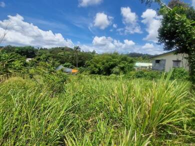 Terrain constructible à vendre 220 000 € 2 465 m² de terrain Ducos 97224