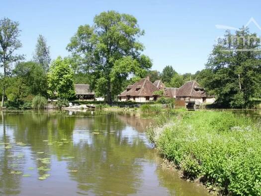 Maison à vendre 576 000 € 14 pièces 9 chambres 364 m² 33 300 m² de terrain Saint-Fargeau 89170