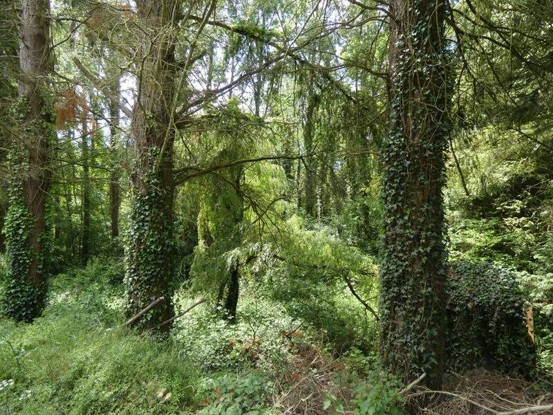 Maison 4 pièces 60 m² · à Monts-sur-Orne · 60 m² · 168 000 €