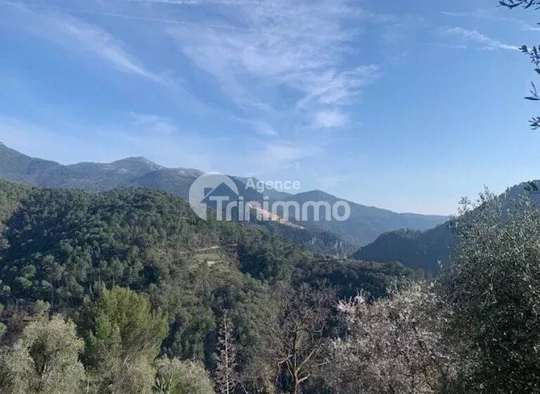 Maison en viager occupé Bouquet 43 333 € 3 pièces 2<br/>chambres 60 m²<br/>superficie 3 000 m²<br/>terrain L'Escarène 06440