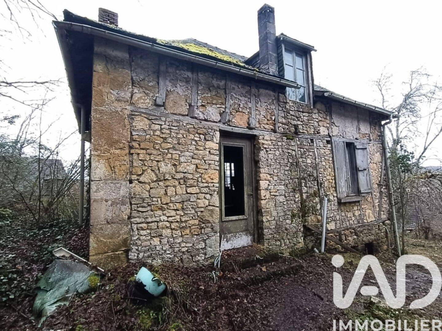 Maison 1 pièce 682 m² · à Terrasson-Lavilledieu · 682 m² · 65 900 €