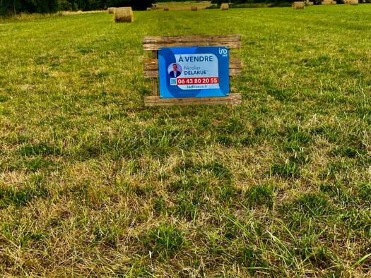 Terrain constructible à vendre 96 000 € 5 290 m² de terrain Sassay 41700