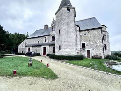 Château en viager occupé Bouquet 1 200 000 € 15 pièces 5 chambres 670 m² 19 440 m² de terrain Manthelan 37240