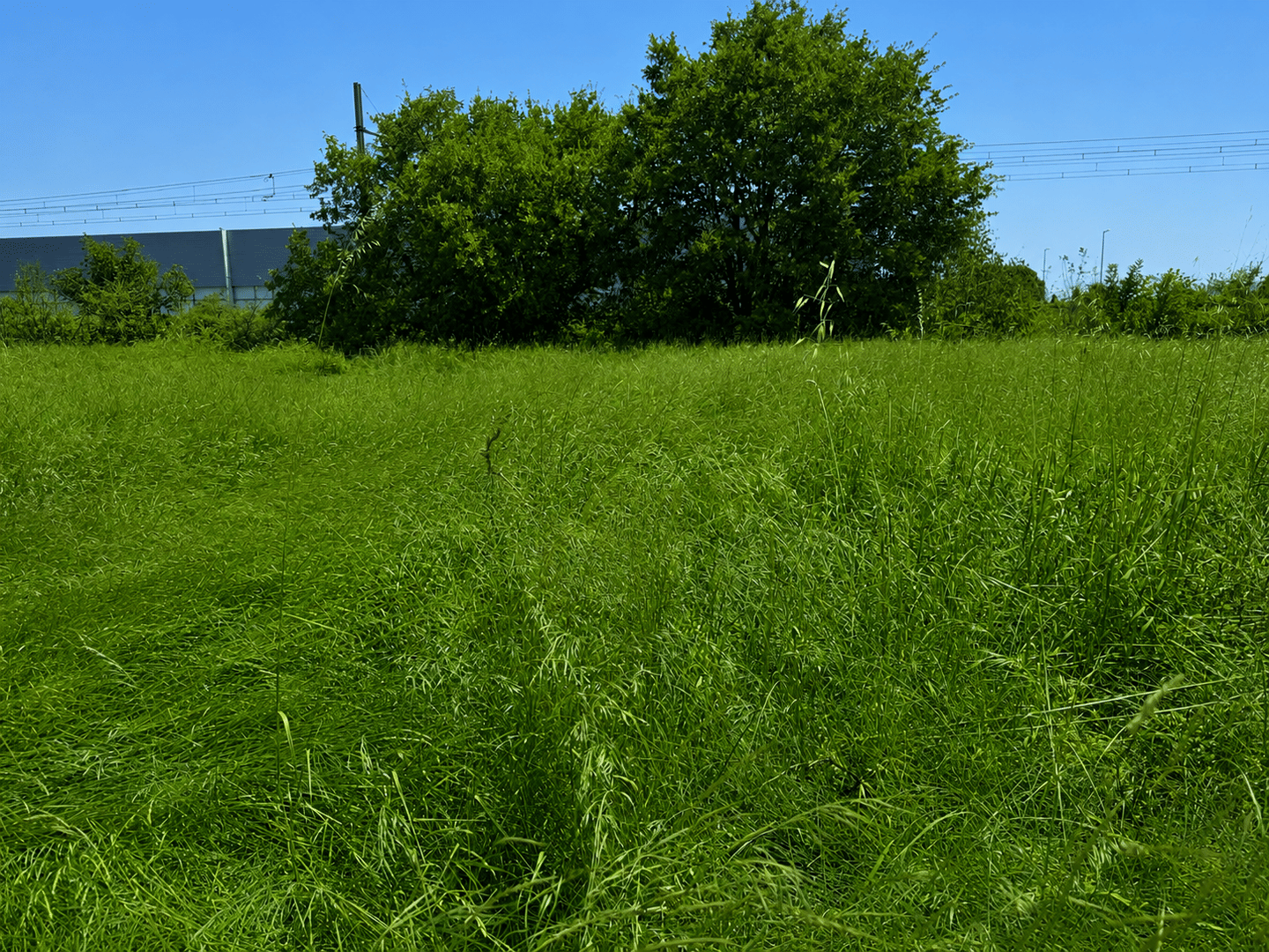 Terrain de 420 m² à Pierrelatte - photo 2