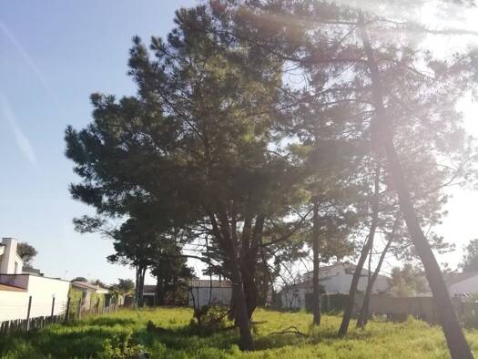 Terrain constructible à vendre 200 000 € 840 m² de terrain L'Île-d'Olonne 85340