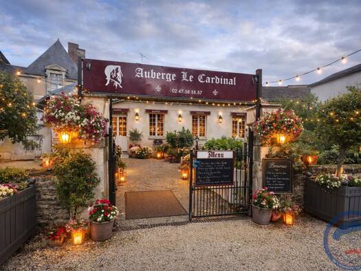 Local commercial à vendre 215 000 € 396 m² de surface de vente Richelieu 37120